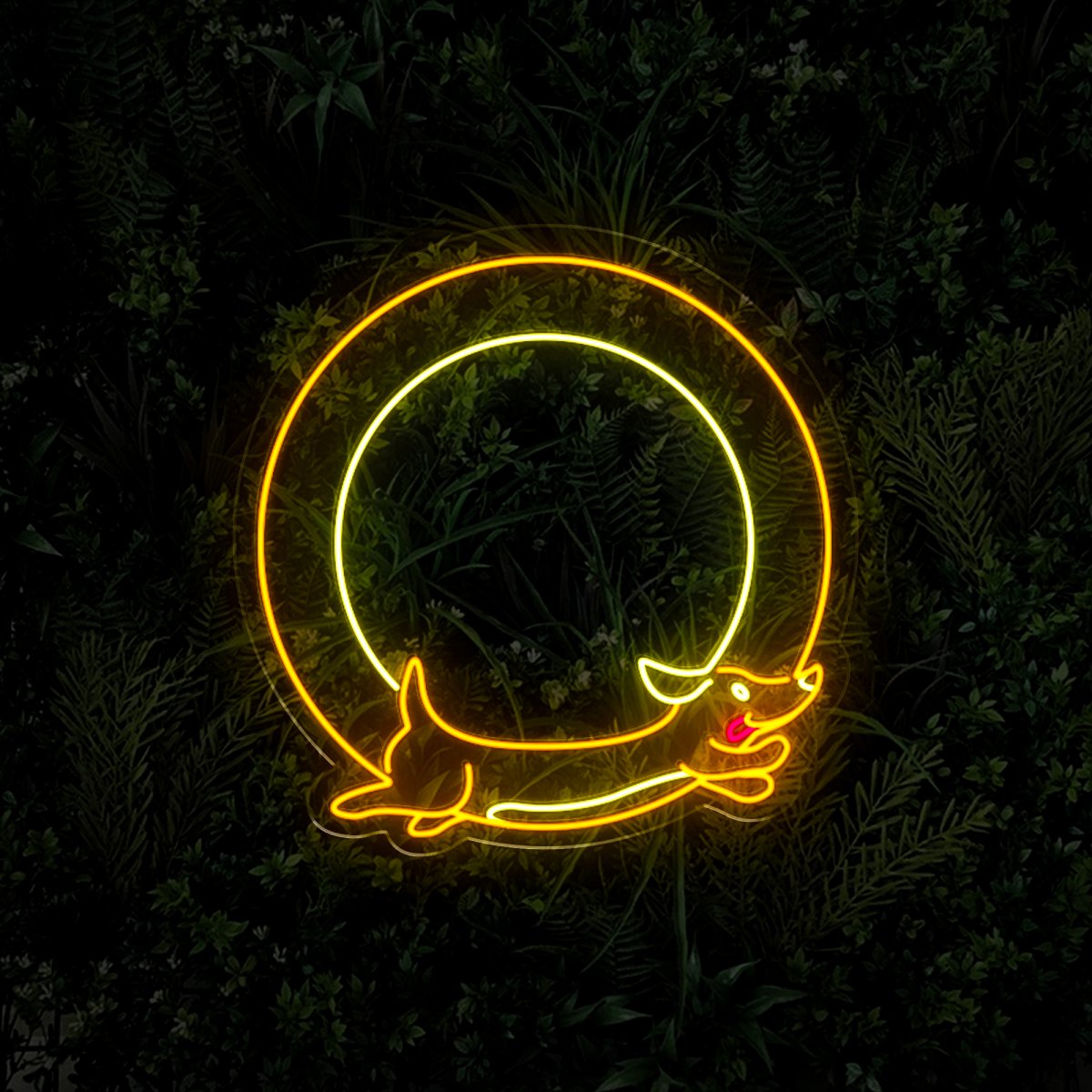 Dachshund On The Moon Neon Sign - Reels Custom