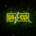 Disco Neon Sign Neon Sign - Reels Custom