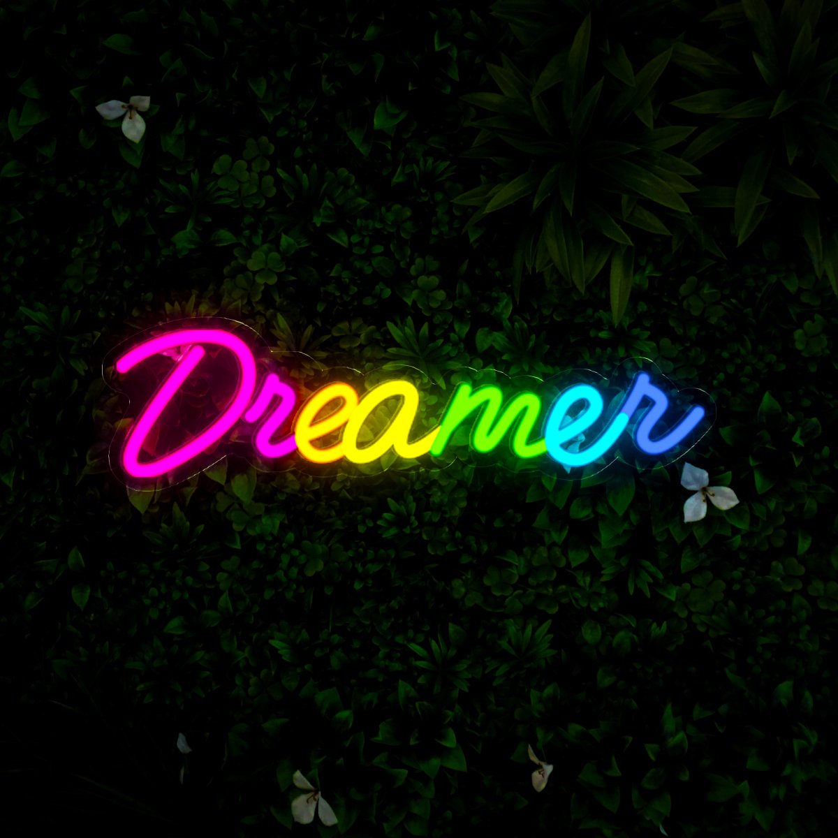 Dreamer Quotes Led Neon Sign - Reels Custom