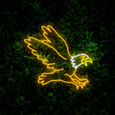 Eagles Neon Sign - Reels Custom