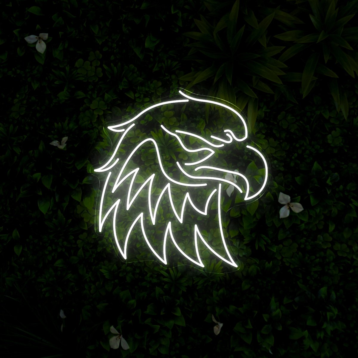 Eagles Neon Sign - Reels Custom