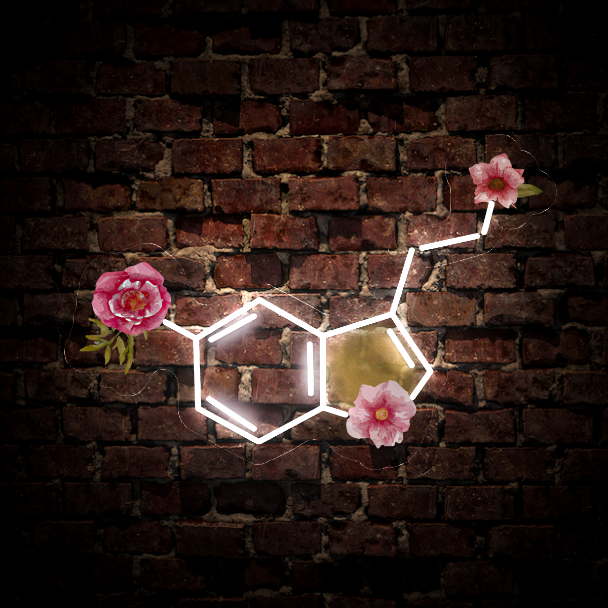 Serotonin Molecule Artwork Led Neon Sign