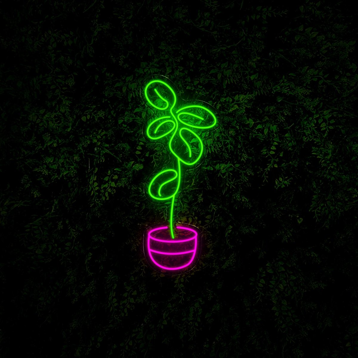 Fiddle Leaf Fig Plant Led Neon Sign - Reels Custom