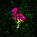 Flamingo Neon Sign - Reels Custom