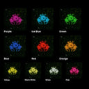 Galaxy Moon And Star Neon Sign - Reels Custom