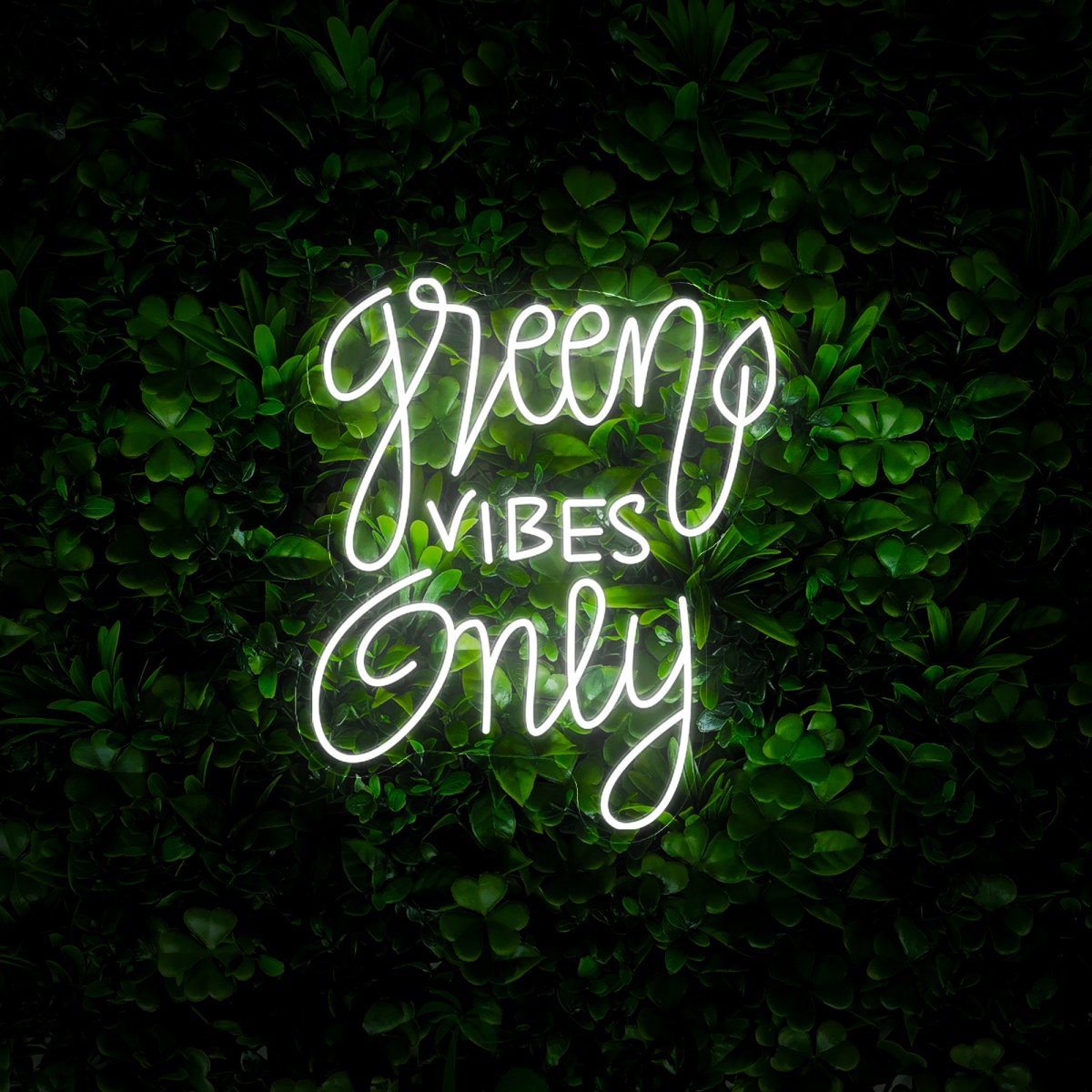 Green Vibes Only Neon Sign - Reels Custom