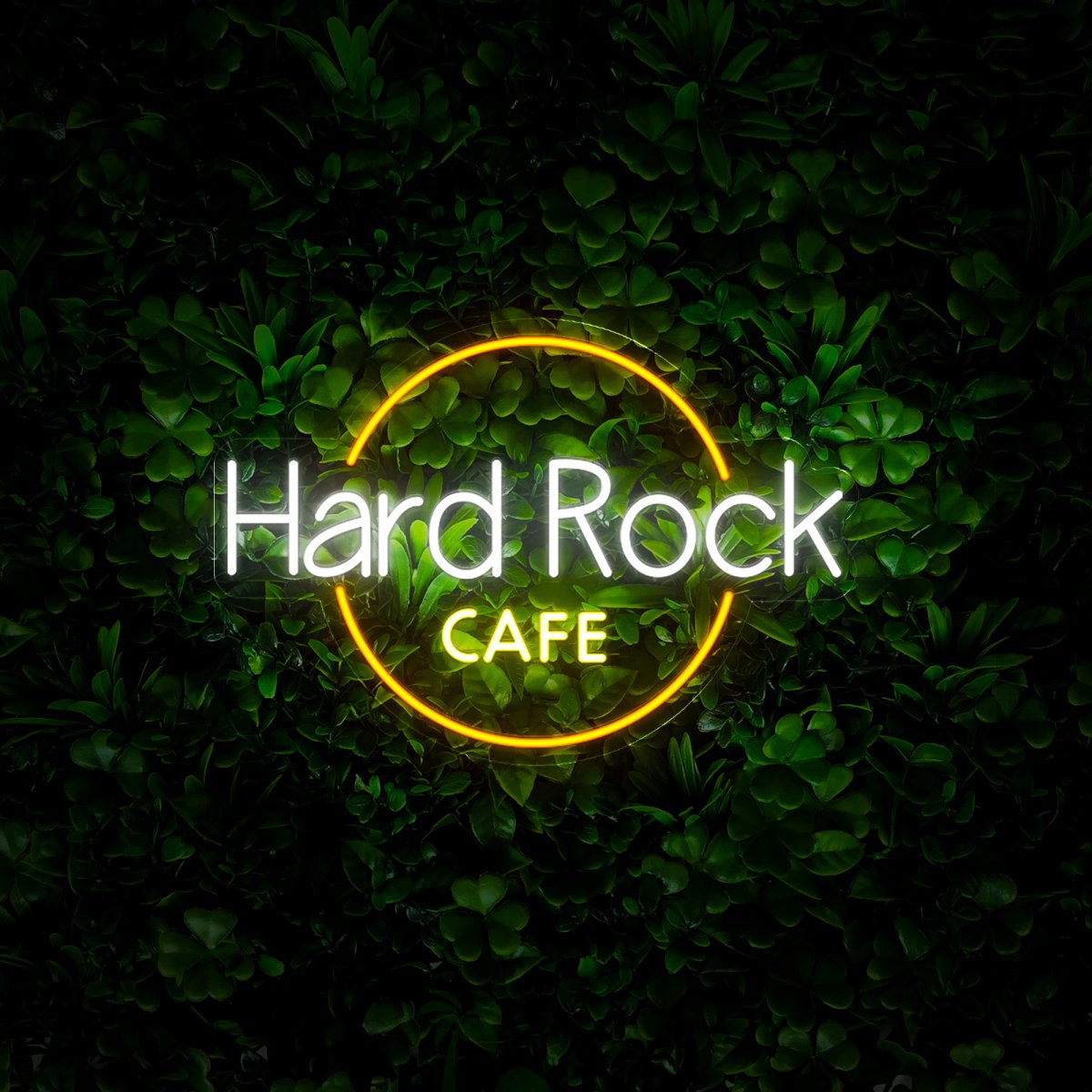 Hard Rock Cafe Neon Sign - Reels Custom