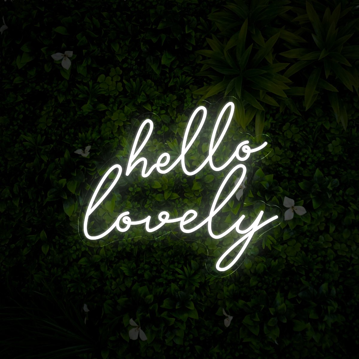 Hello Lovely Led Neon Sign - Reels Custom
