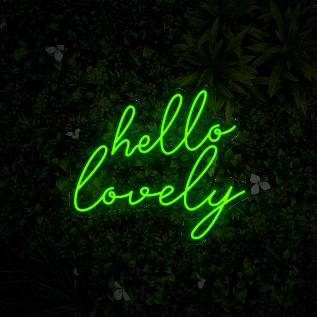 Hello Lovely Led Neon Sign - Reels Custom