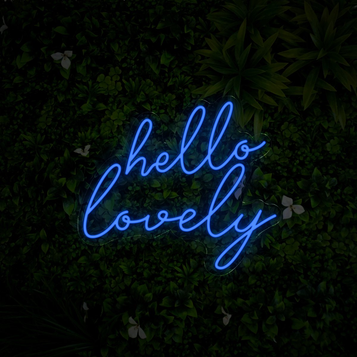 Hello Lovely Led Neon Sign - Reels Custom