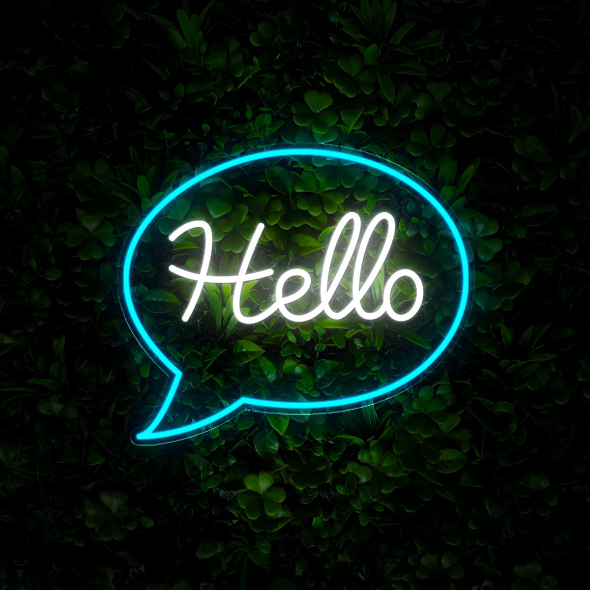 Hello Neon Sign - Reels Custom