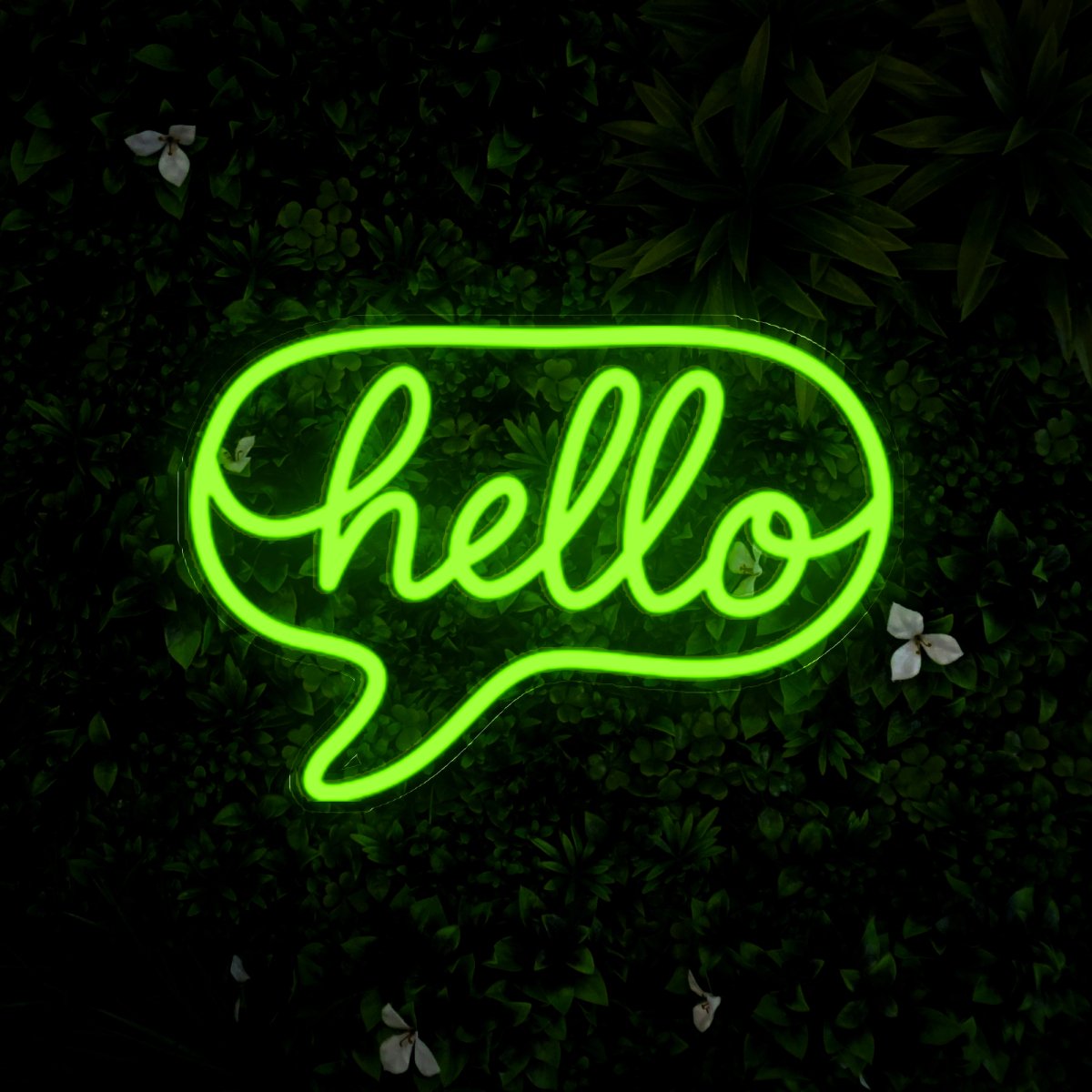 Hello Quotes Led Neon Sign - Reels Custom