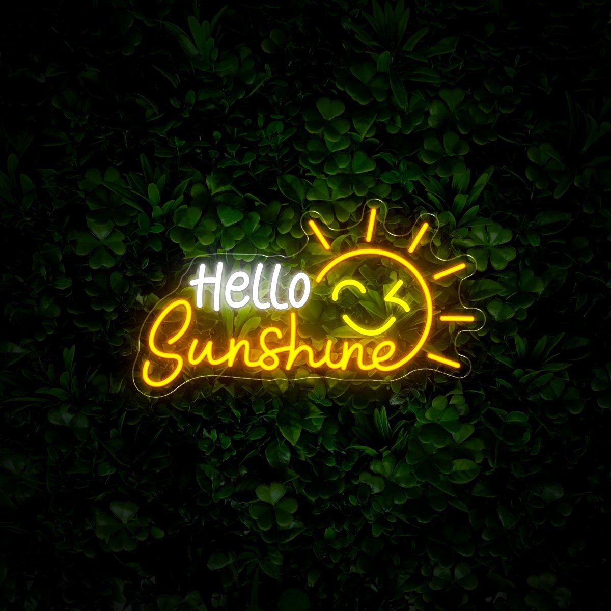 Hello Sunshine Neon Sign - Reels Custom
