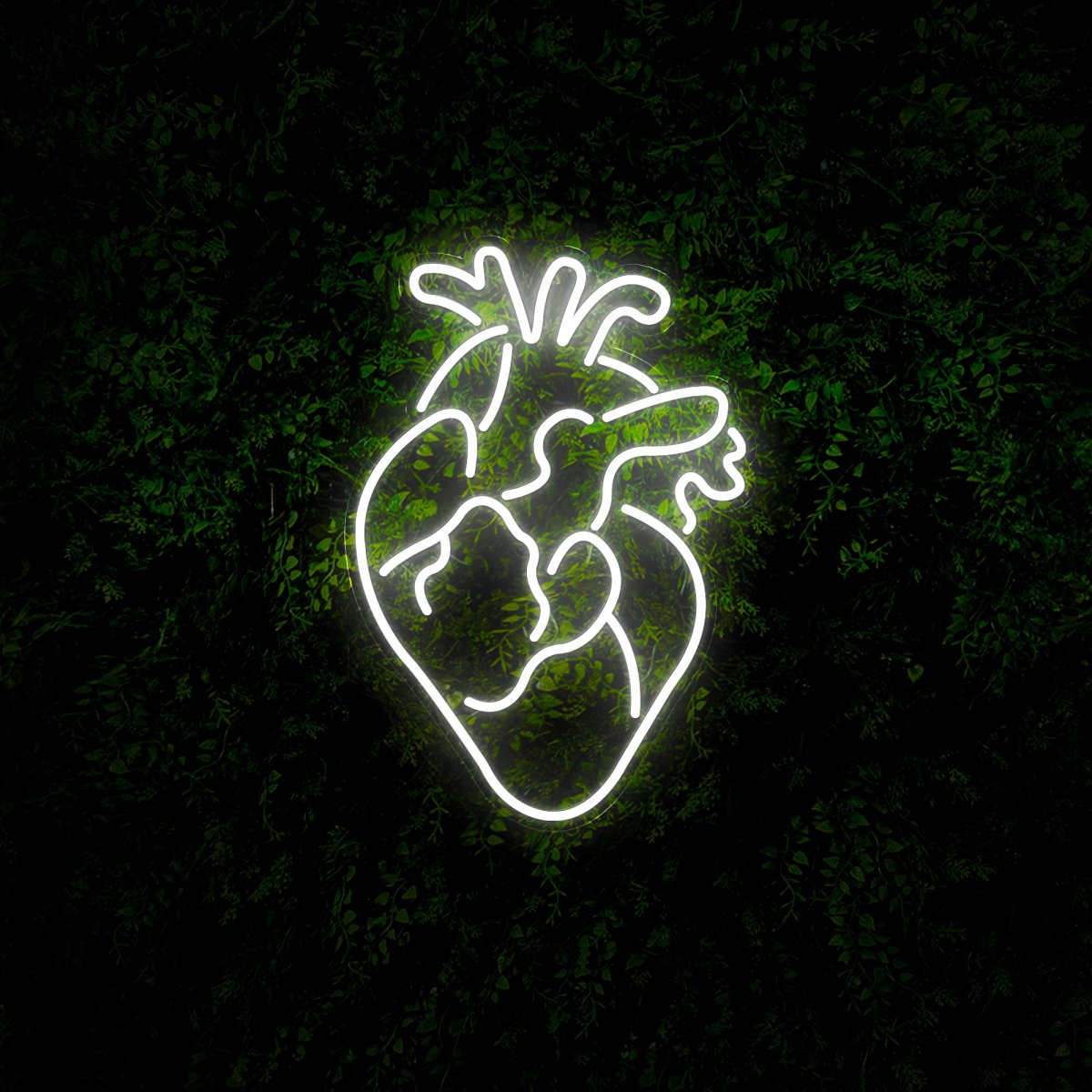 Human Heart Neon Sign - Reels Custom