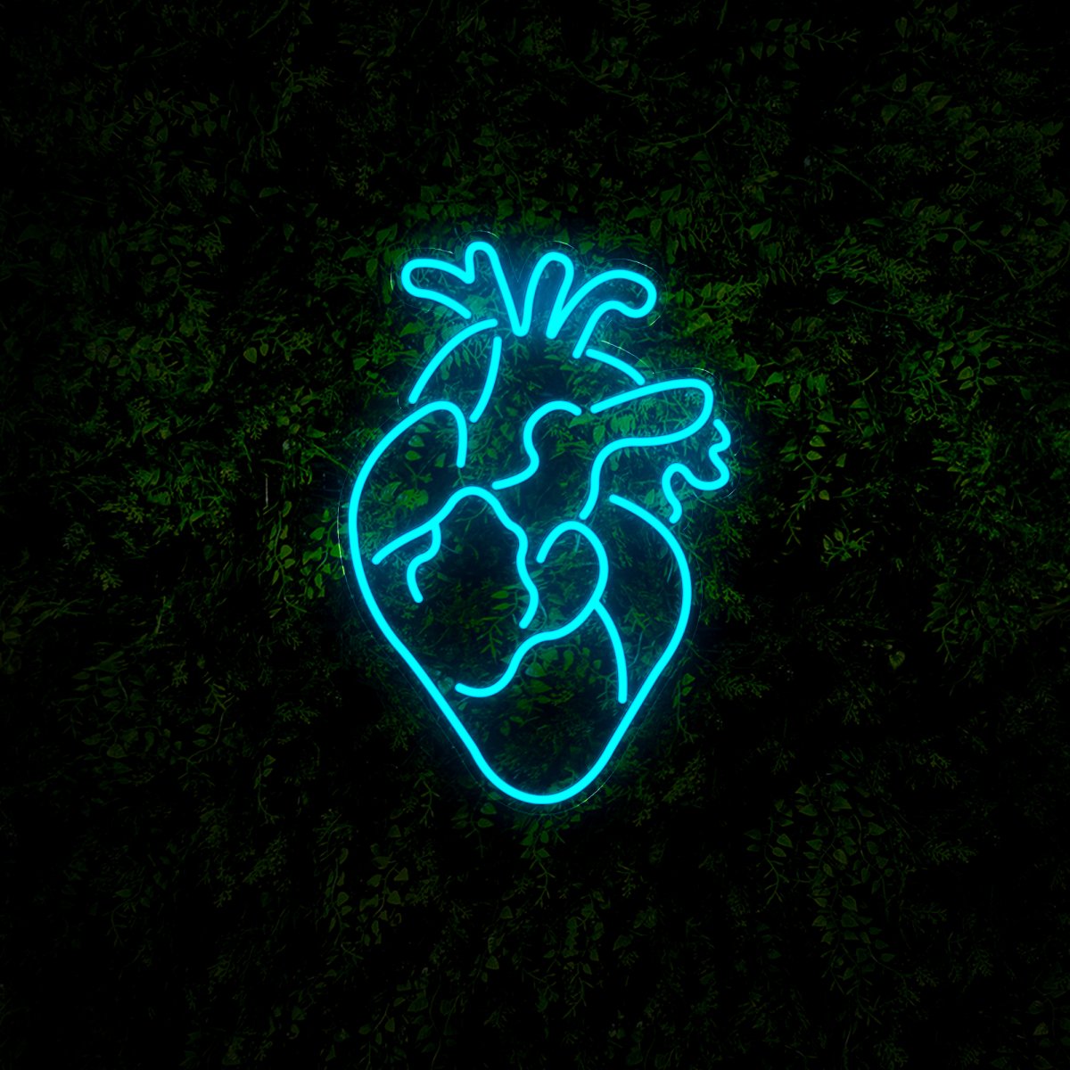 Human Heart Neon Sign - Reels Custom