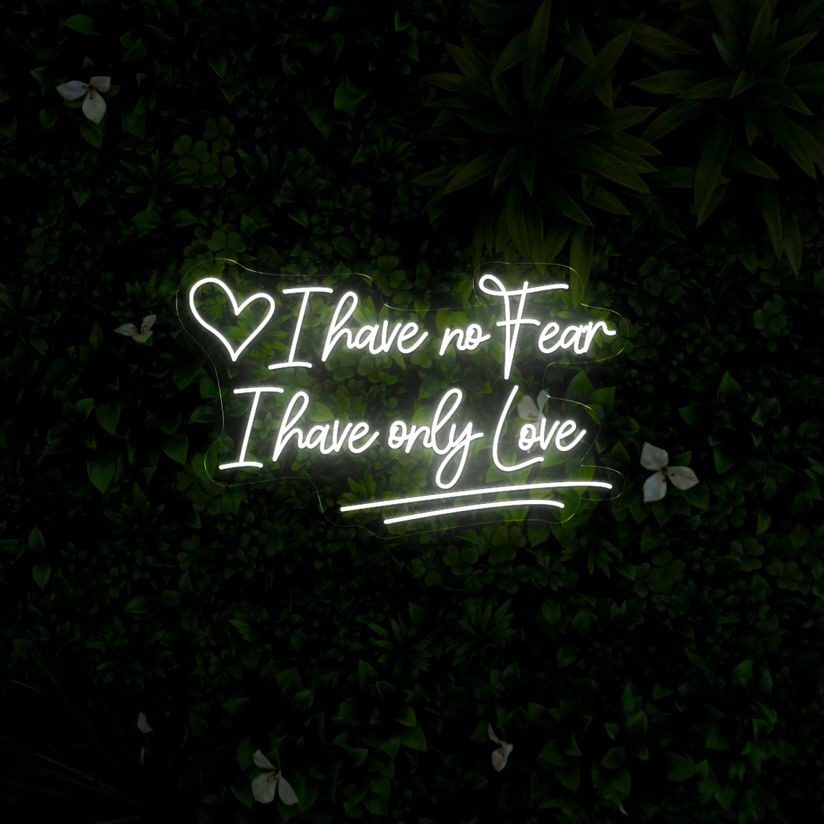 I Have No Fear I Have Only Love Neon Sign - Reels Custom