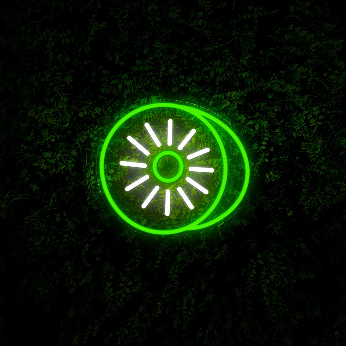 Kiwi Fruits Led Neon Sign - Reels Custom