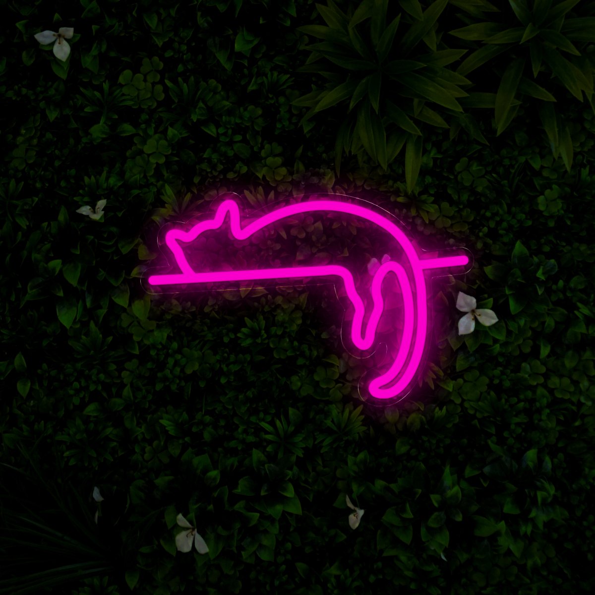 Lazy Cat Animals Led Neon Sign - Reels Custom