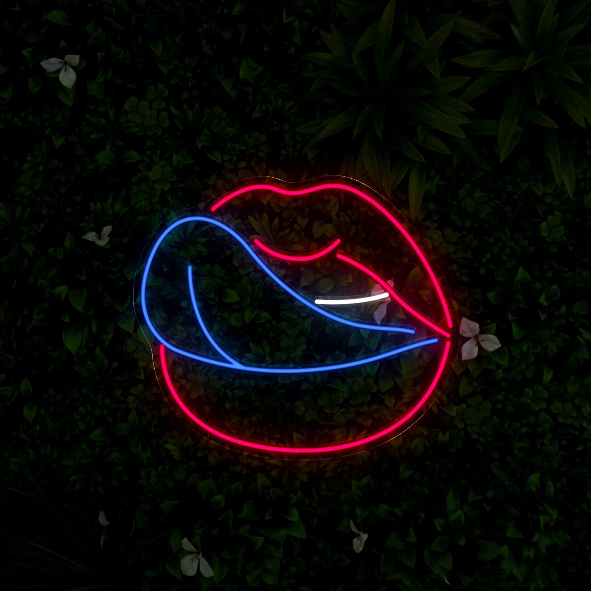 Licking Lips Neon Sign - Reels Custom