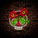 Life After Death Led Neon Signs - Reels Custom