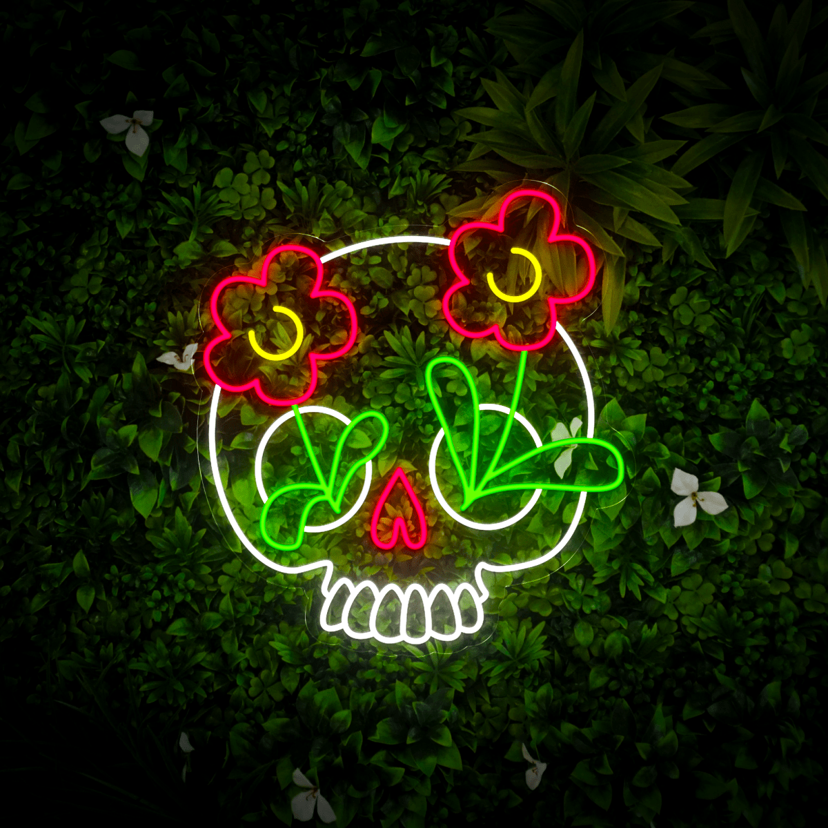 Life After Death Led Neon Signs - Reels Custom