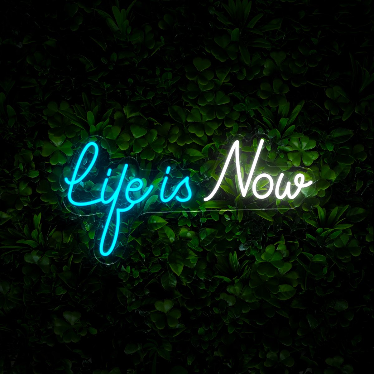 Life Is Now Neon Sign - Reels Custom