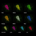 Lolipop Neon Sign - Reels Custom
