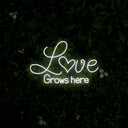 Love Grows Here Neon Sign - Reels Custom