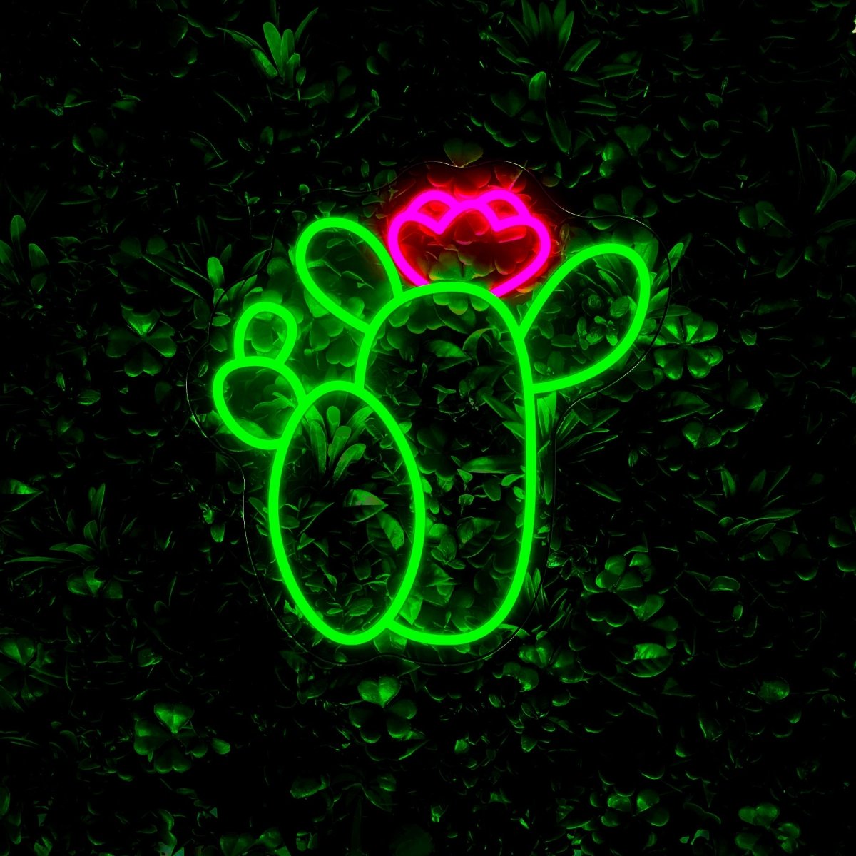 Lovely Bright Flower Cactus Led Neon Sign - Reels Custom