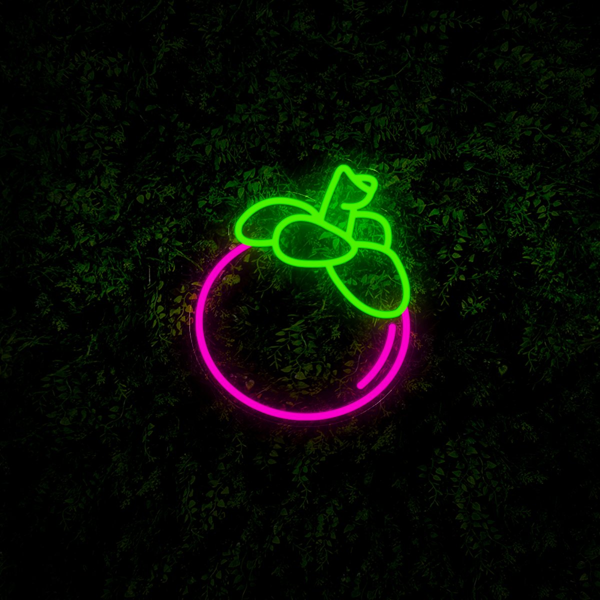 Mangosteen Fruits Led Neon Sign - Reels Custom