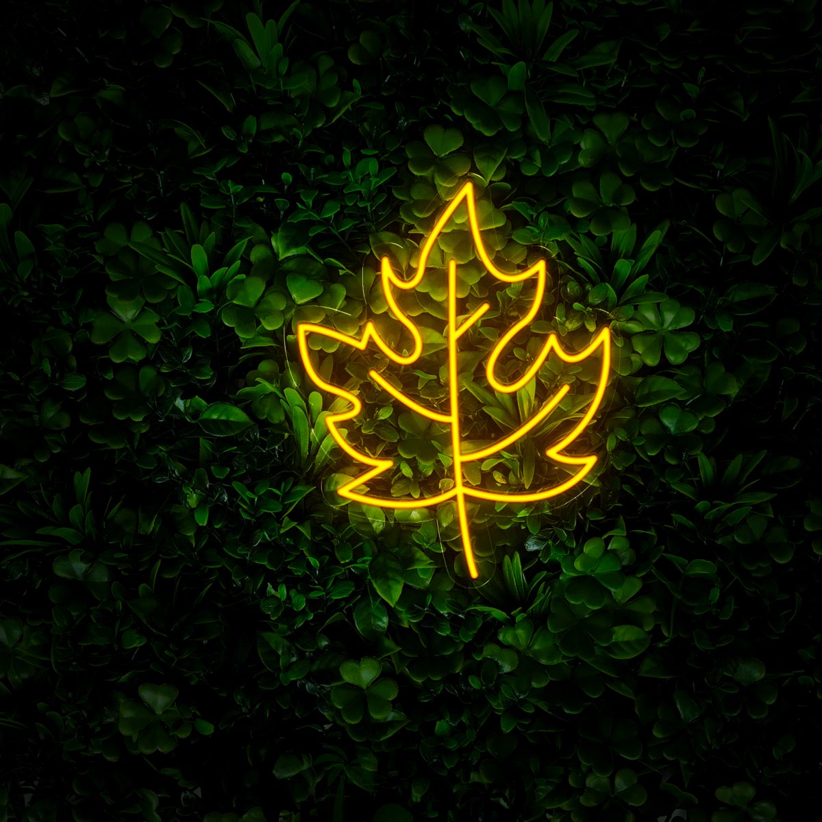 Maple Leaf Thanksgiving Neon Sign - Reels Custom