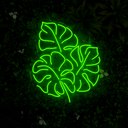 Monstera Leaf Led Neon Sign - Reels Custom