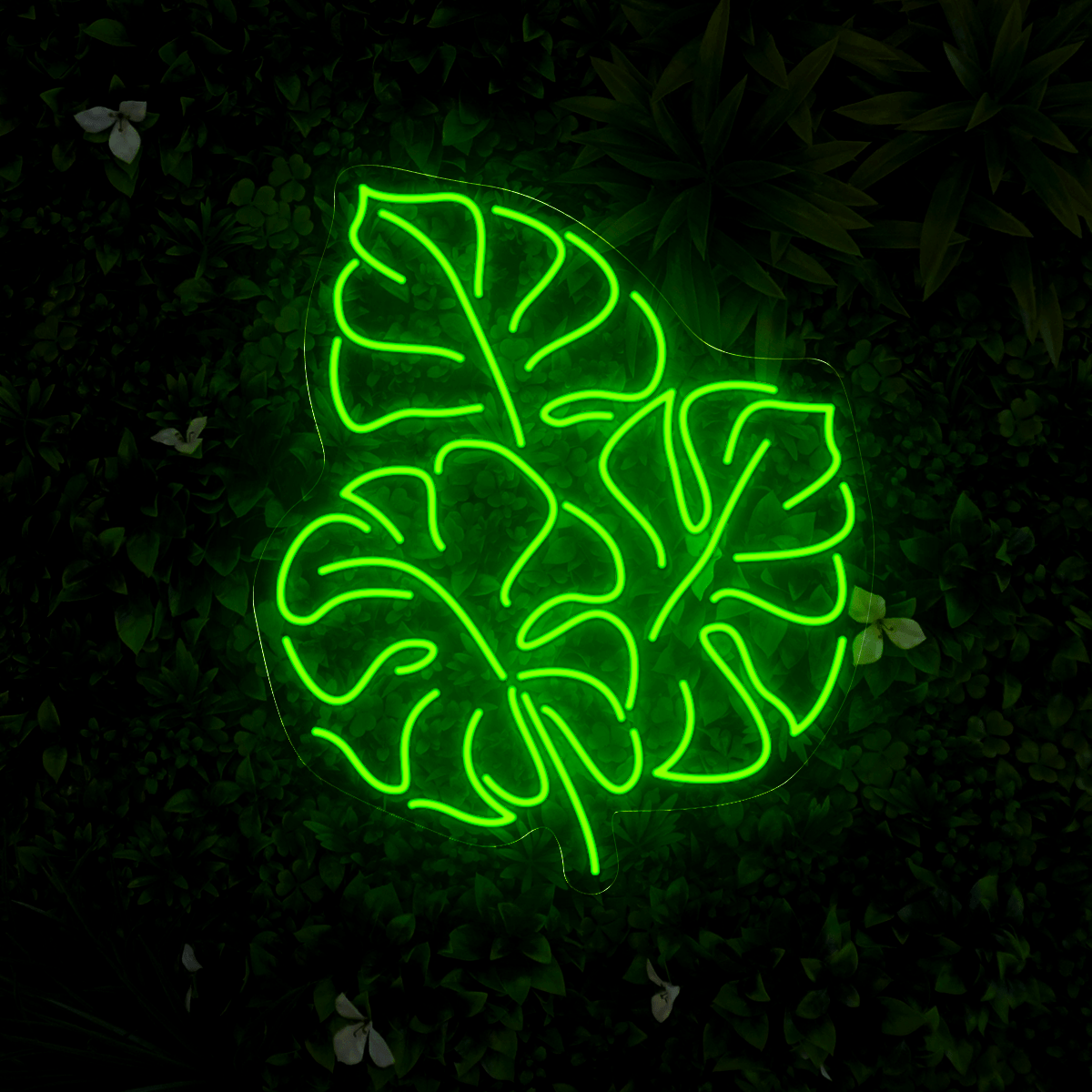 Monstera Leaf Led Neon Sign - Reels Custom