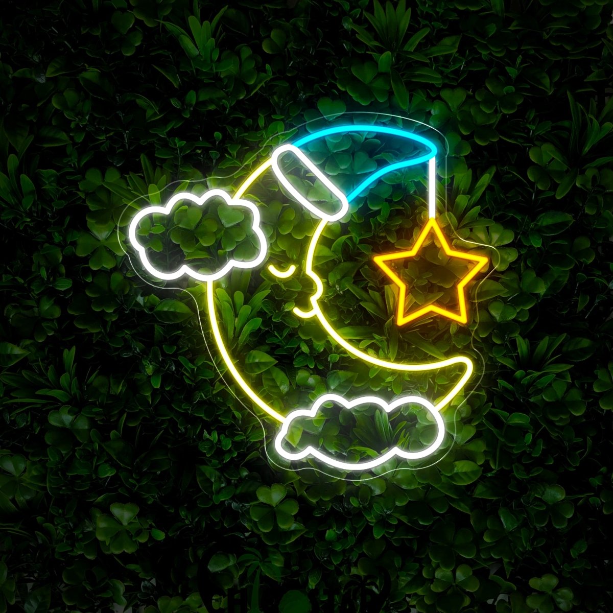 Moon And Star Neon Sign - Reels Custom