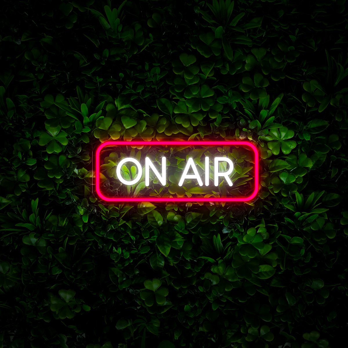 On Air Neon Sign - Reels Custom