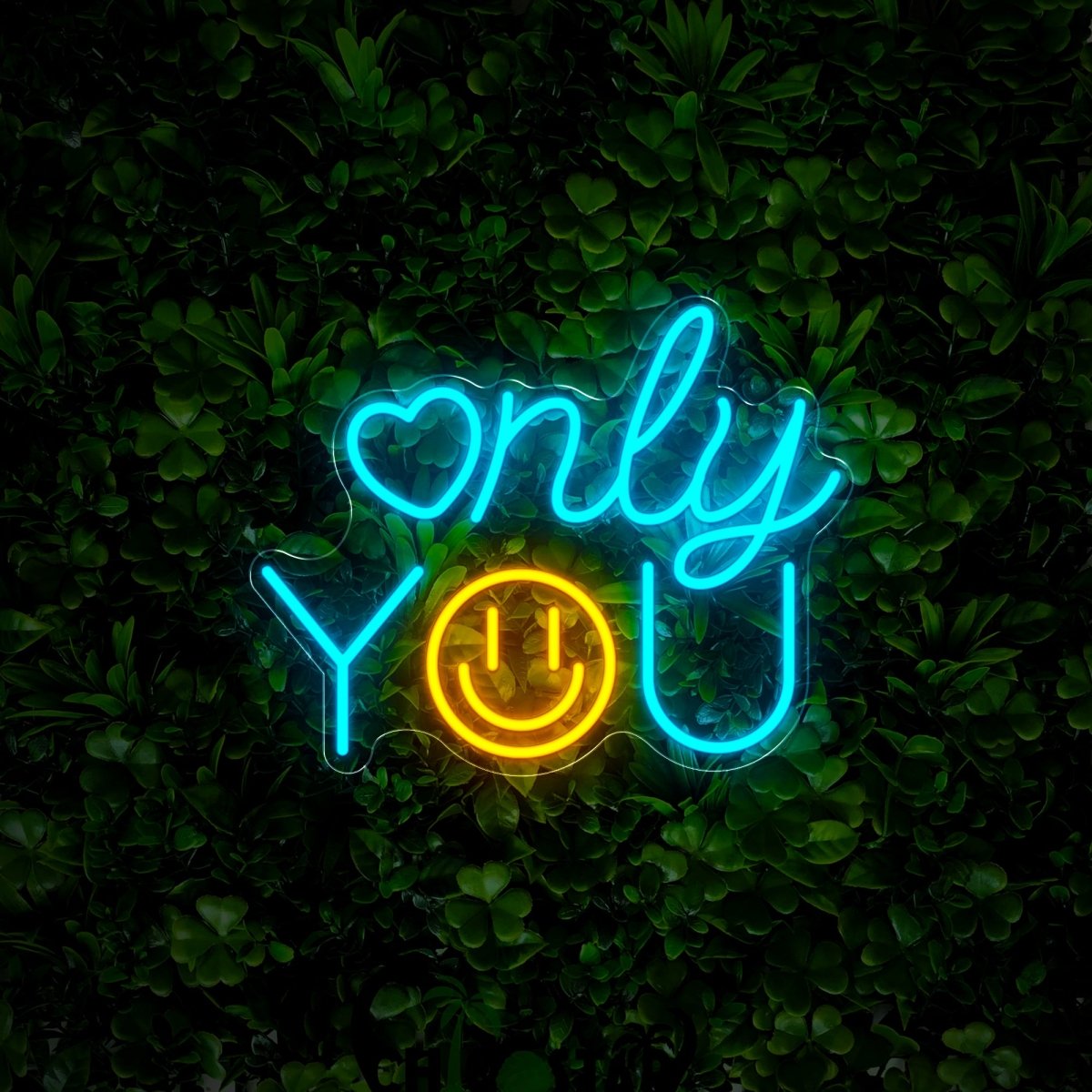 Only You Neon Sign - Reels Custom