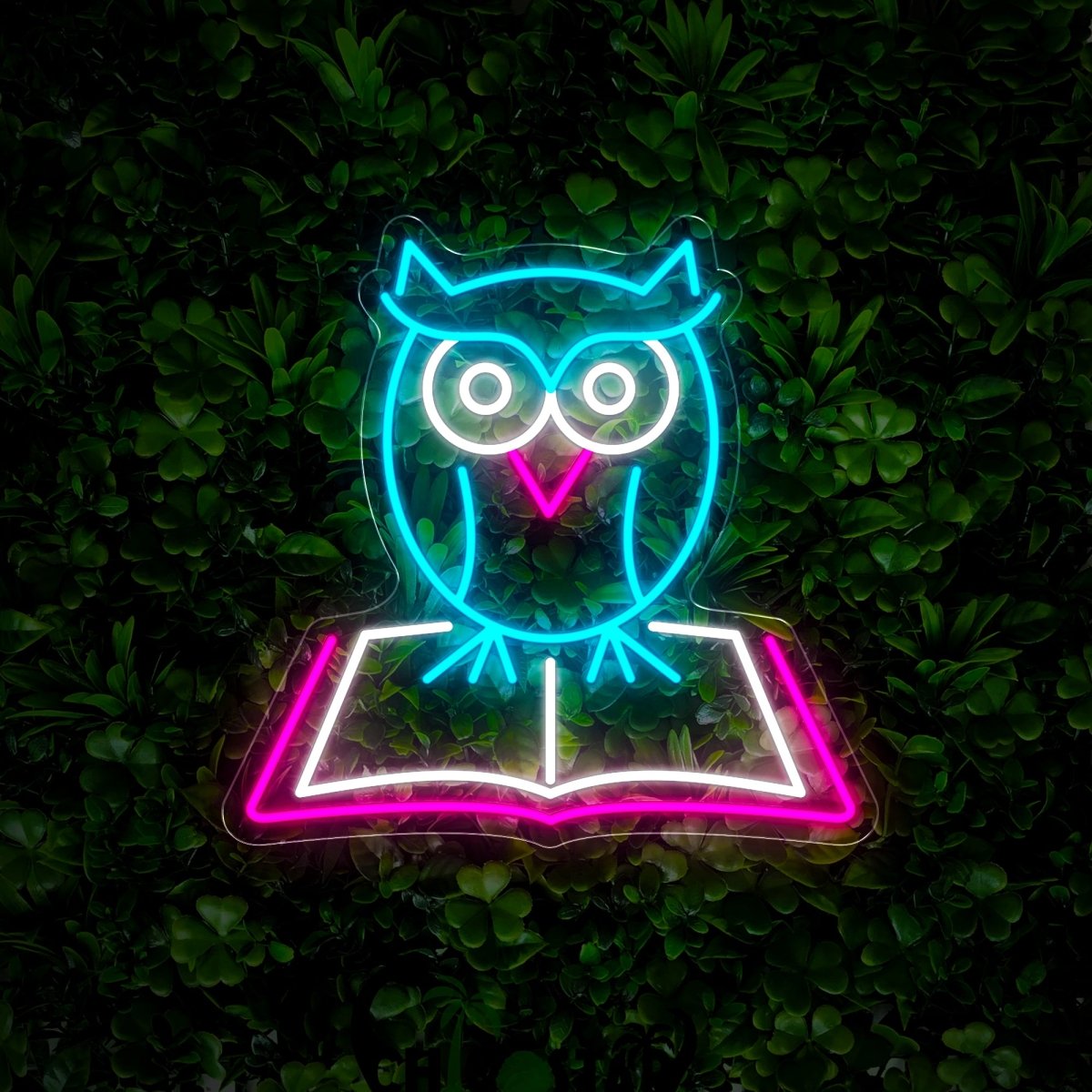 Owl And Books Neon Sign - Reels Custom