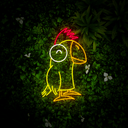 Parrot Led Neon Sign - Reels Custom