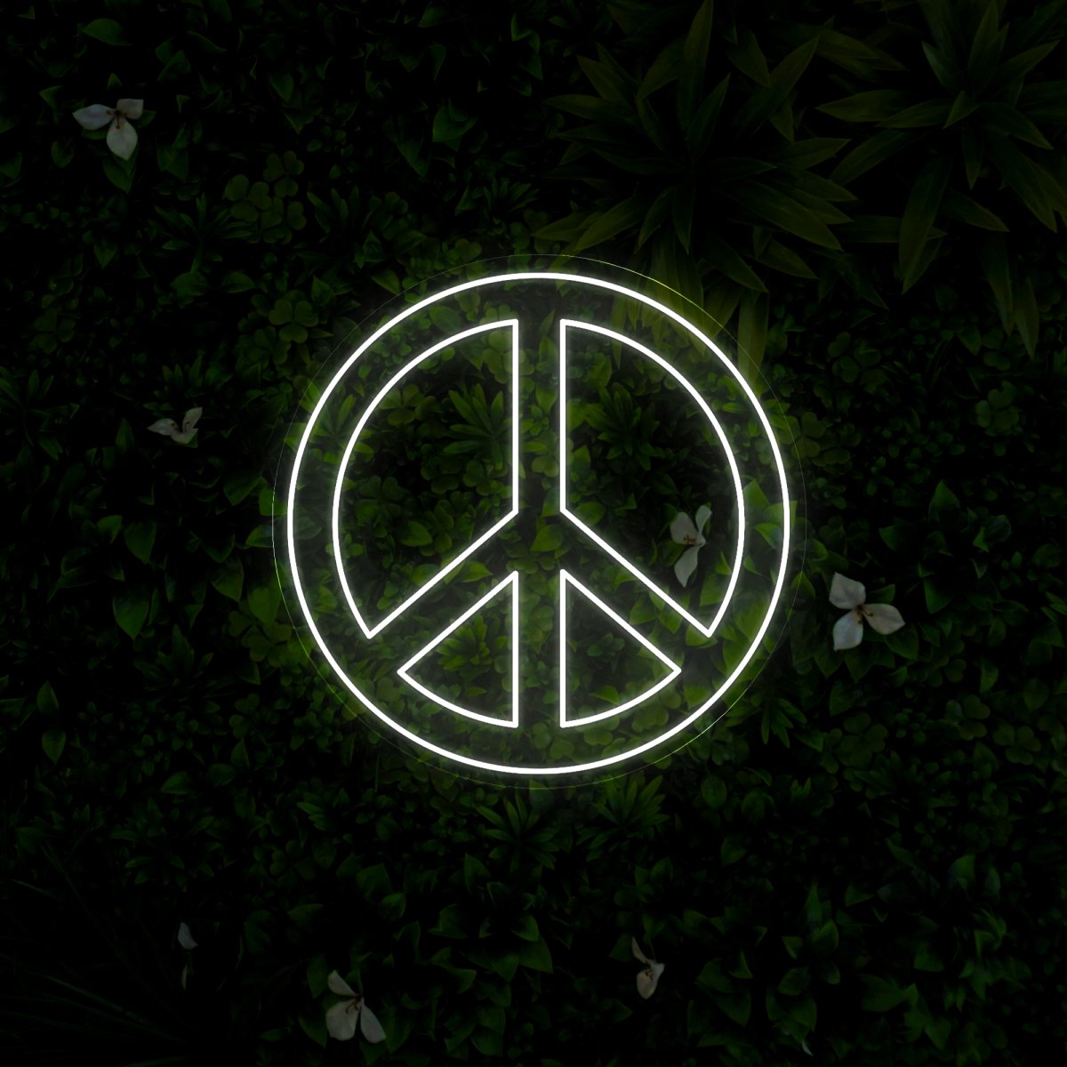 Peace Neon Sign - Reels Custom