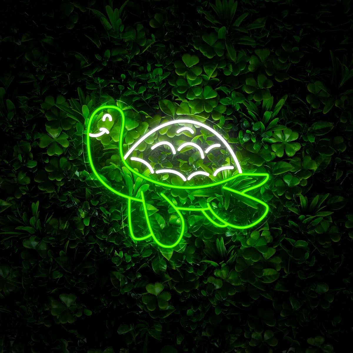 Sea Turtle Neon Sign - Reels Custom