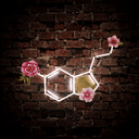 Serotonin Molecule Artwork Led Neon Sign - Reels Custom