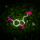 Serotonin Molecule Neon Sign - Reels Custom