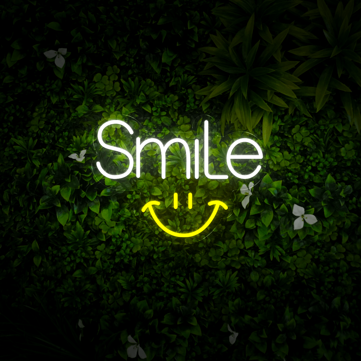Smile Neon Sign - Reels Custom