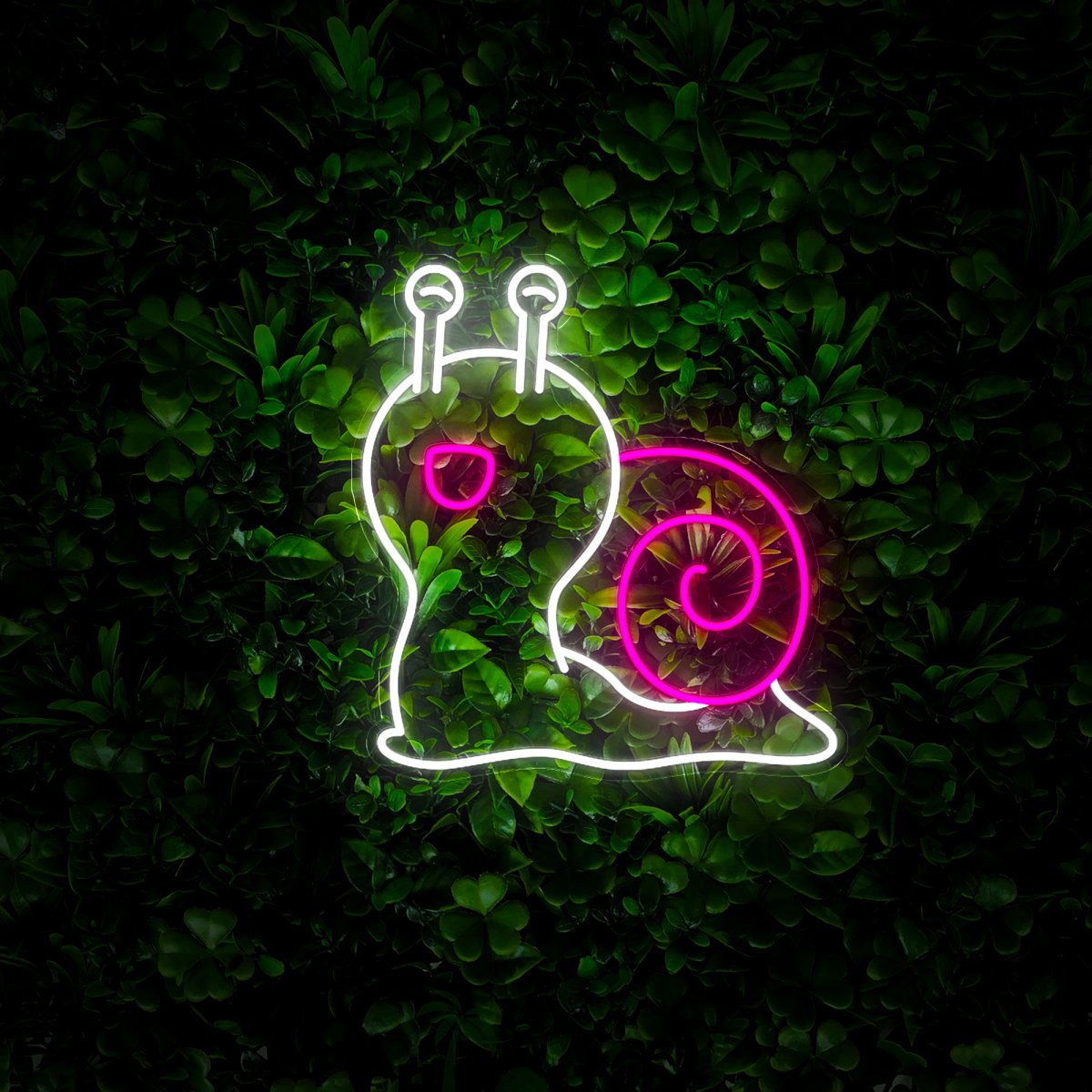 Snail Neon Sign - Reels Custom
