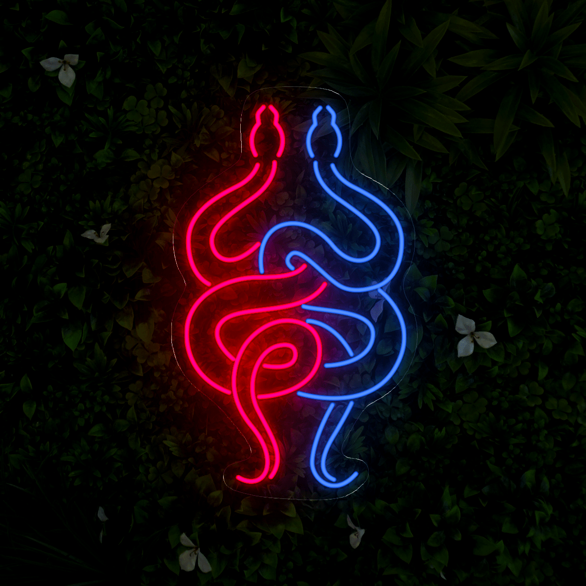 Snake Neon Sign - Reels Custom
