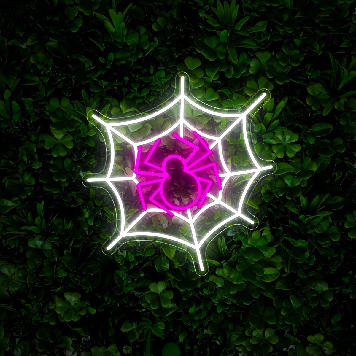 Spider Halloween Holiday Neon Sign - Reels Custom