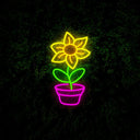 Sunflower Led Neon Sign - Reels Custom