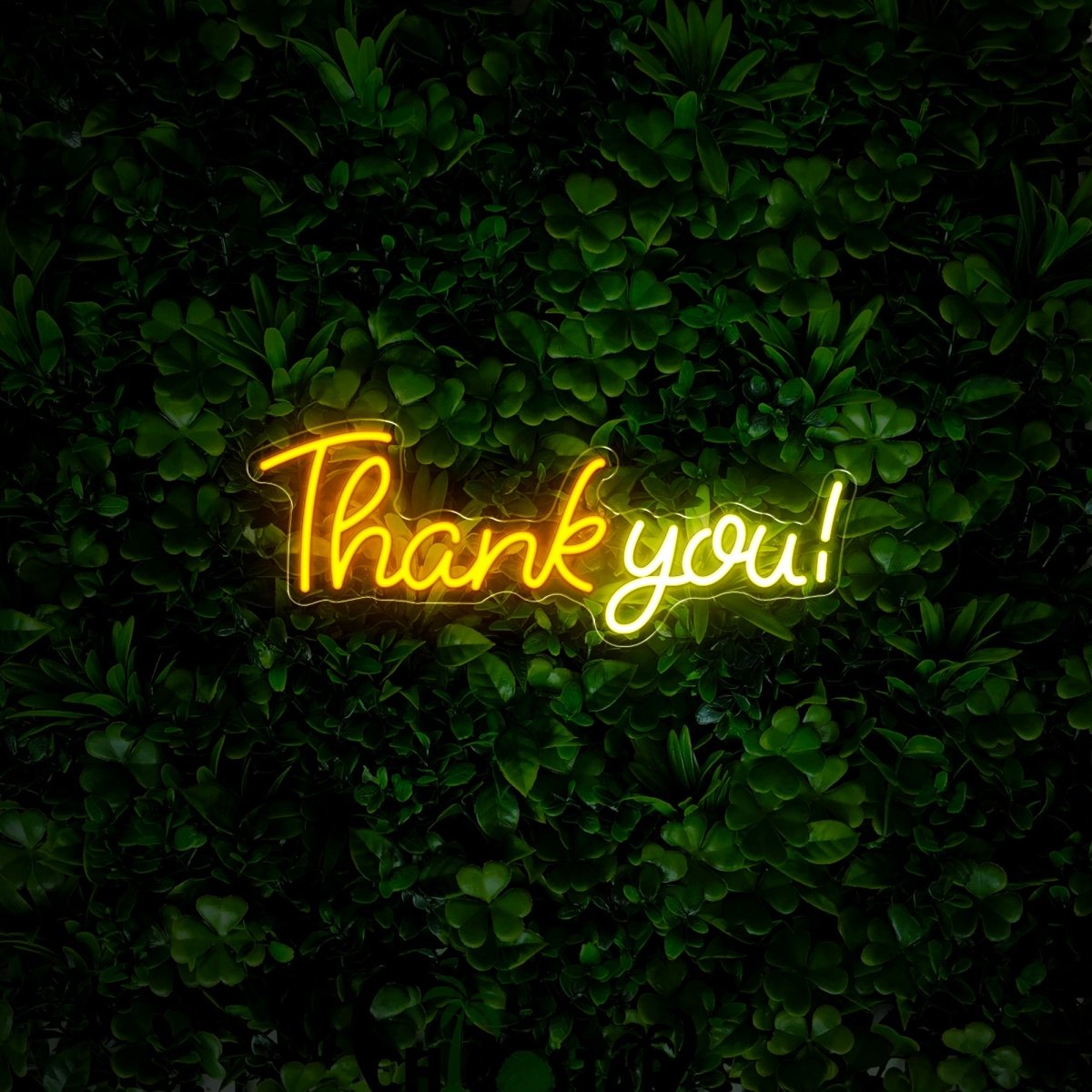 Thank You Neon Sign - Reels Custom