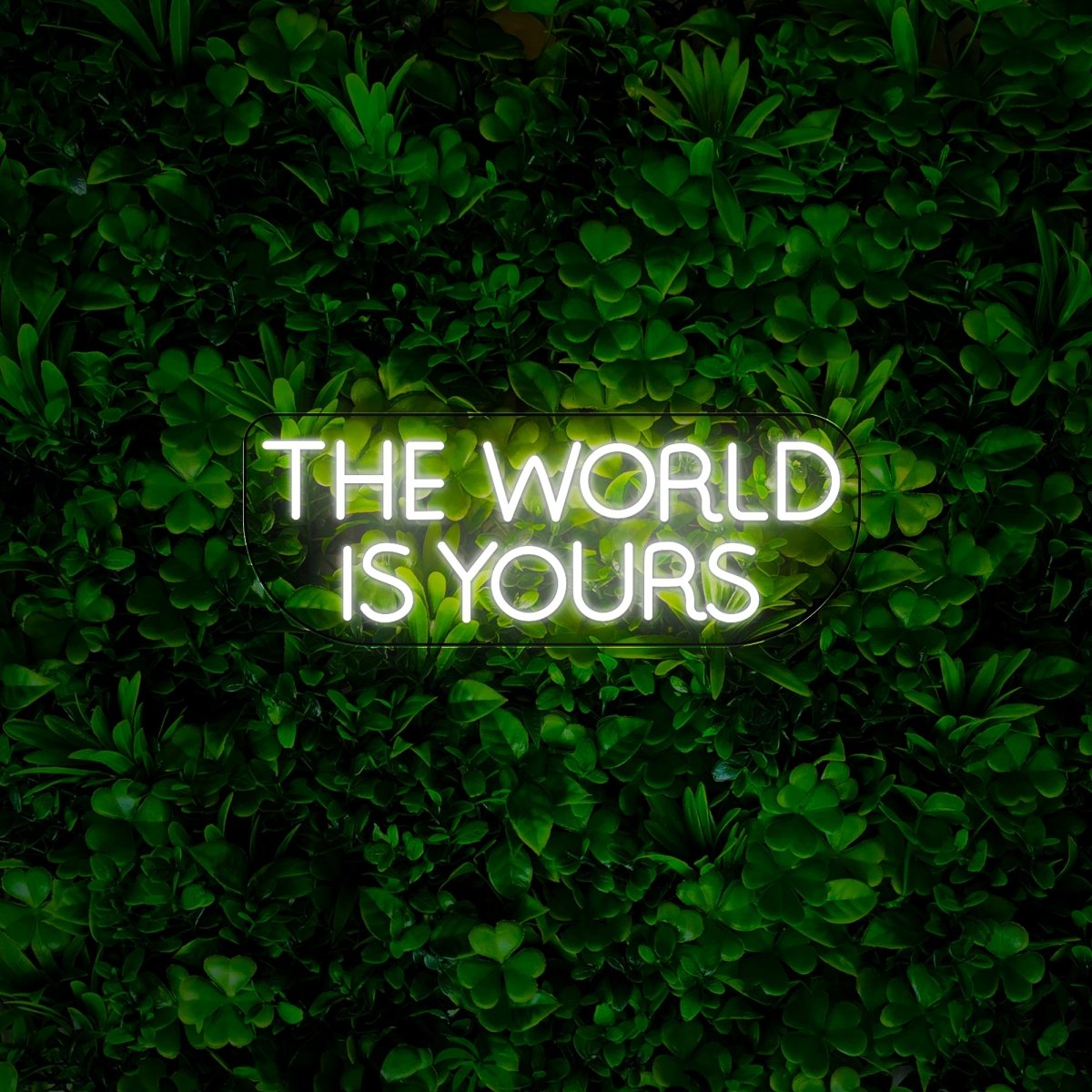 The World Is Yours Wedding Led Neon Sign - Reels Custom