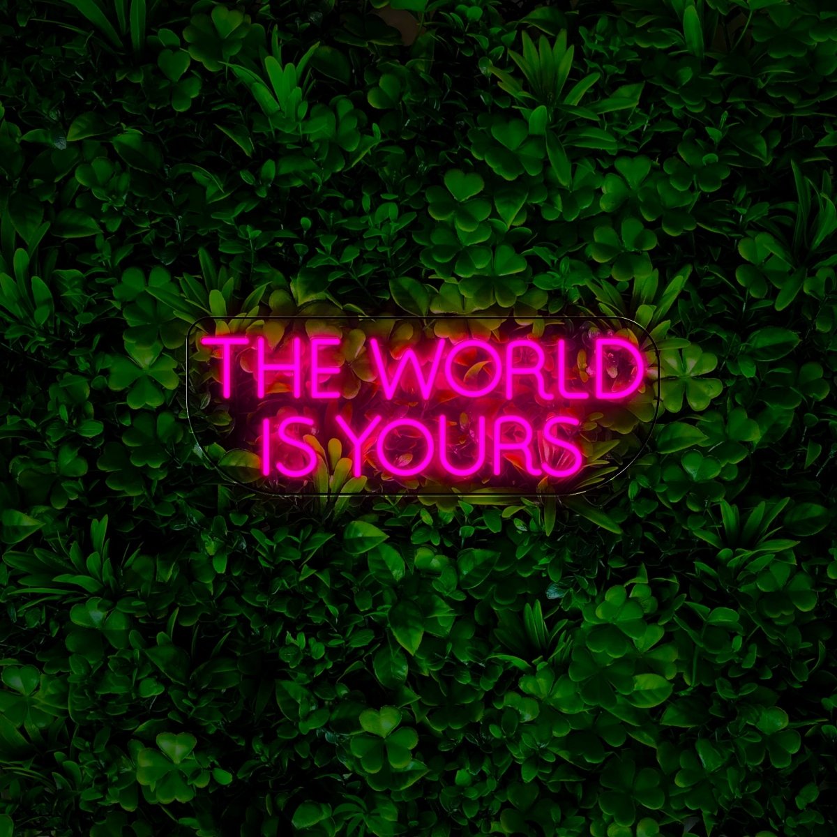 The World Is Yours Wedding Led Neon Sign - Reels Custom